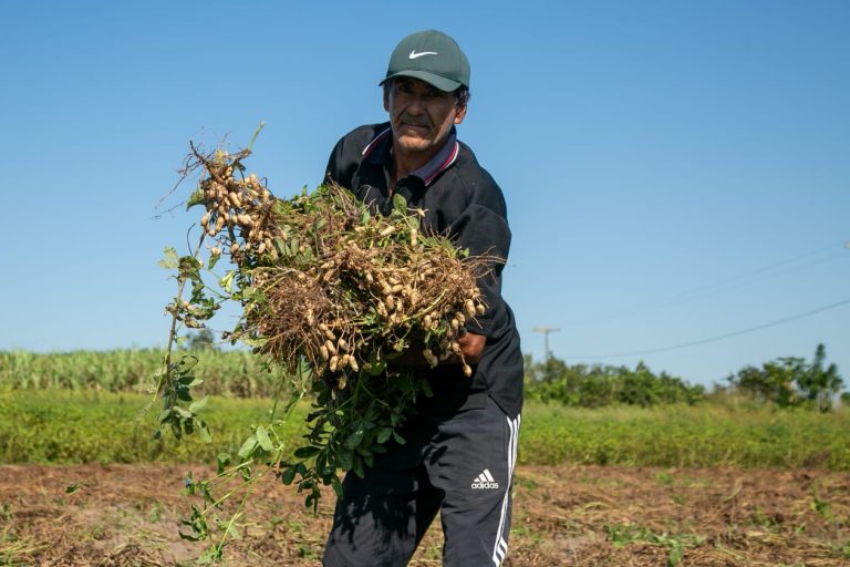 Trabalhadores rurais de Teixeira de Freitas geram desenvolvimento para o campo e cidade