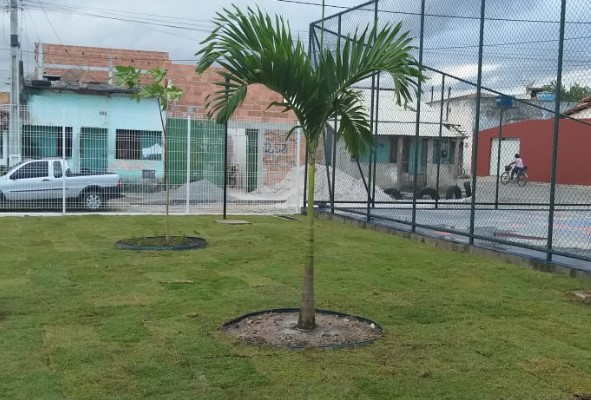 Estação Cidadania – Esporte tem trabalho de paisagismo realizado pela Prefeitura