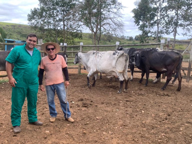 Prefeitura realiza assistência veterinária próximo à estrada do Piatã