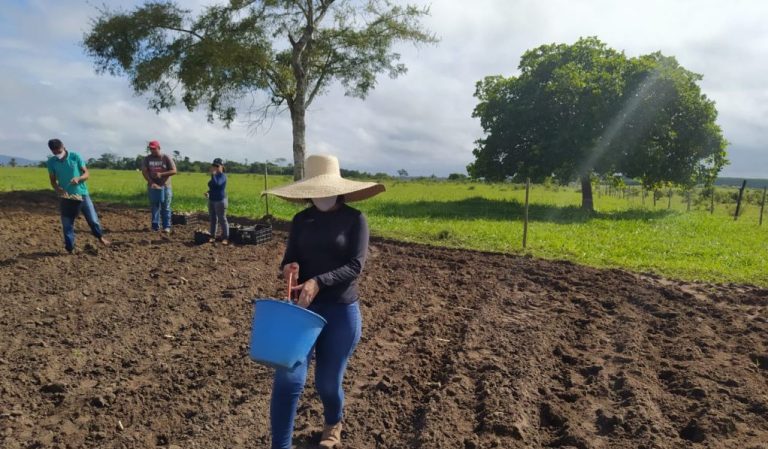 Dia do Engenheiro Agrônomo: conheça os serviços realizados por estes profissionais em prol do desenvolvimento rural teixeirense