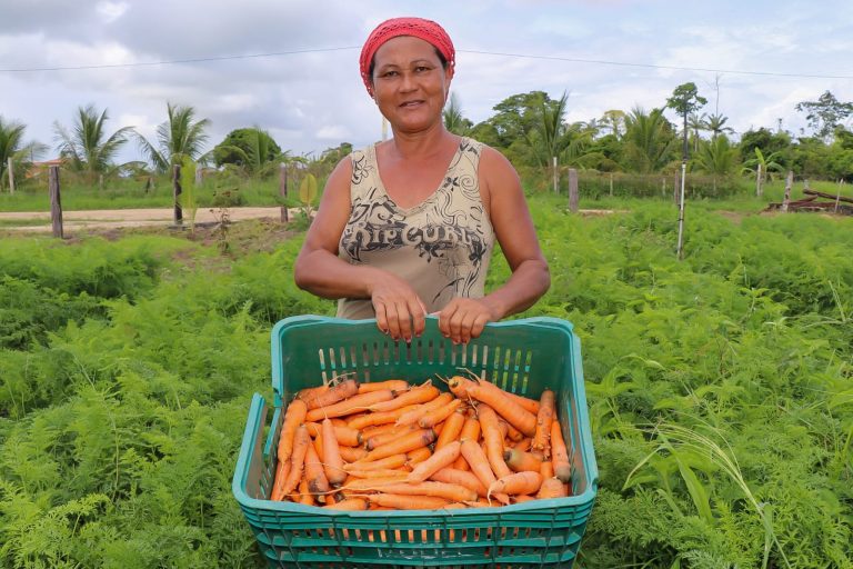 Relembre as principais ações realizadas pela Secretaria de Agricultura em 2022