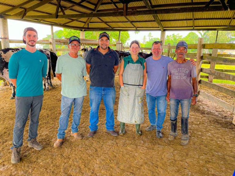 Produtores rurais celebram conclusão do primeiro ciclo de melhoramento genético bovino em Teixeira de Freitas 