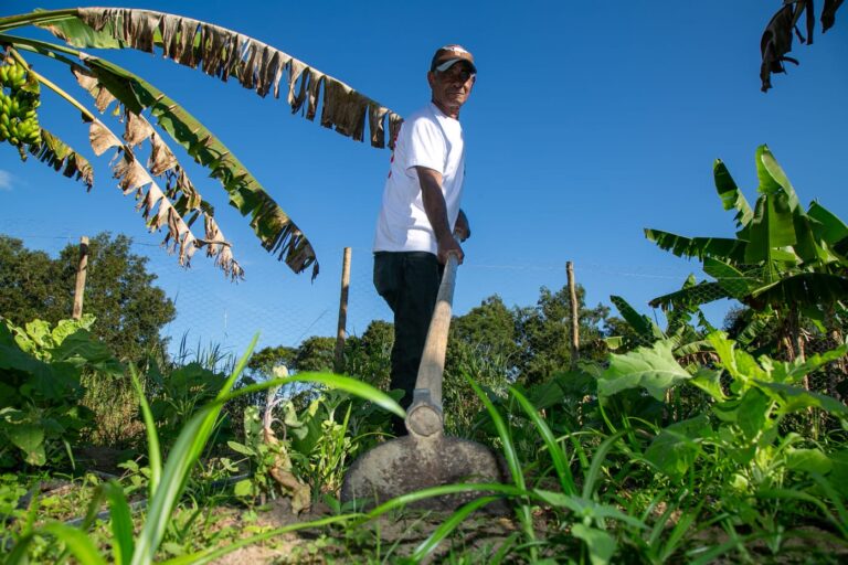 Dia Internacional da Agricultura Familiar: Prefeitura celebra e fortalece a resiliência no campo