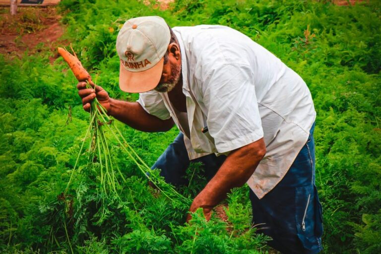 Prefeitura publica edital para chamada pública visando aquisição de alimentos da agricultura familiar; saiba como participar