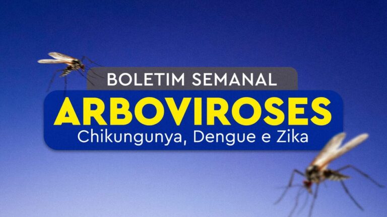 Boletim semanal das arboviroses – 24 a 30/03