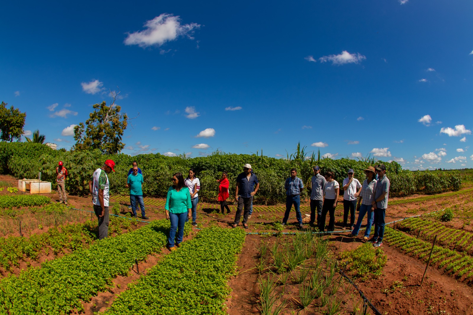 Prefeitura visitou comunidade beneficiada pelo projeto Cinturão Verde